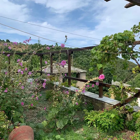 House In Propan *